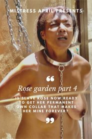 Rose Garden 4