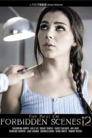 The Best of Forbidden Scenes 12